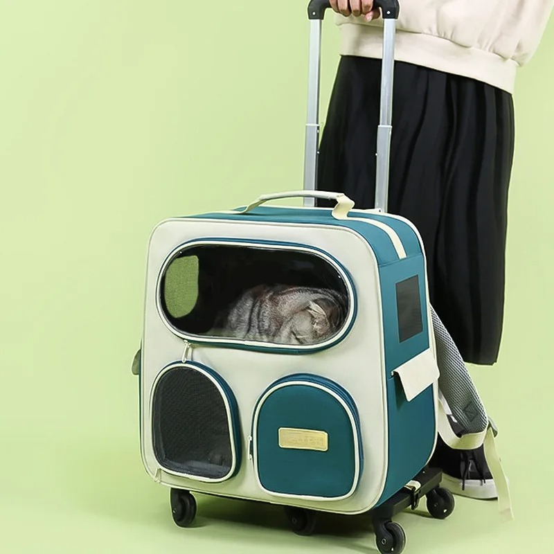 กระเป๋าเป้สะพายหลังสำหรับแมวแบ - Foldable Backpack Small บทวิจารณ์และราคา